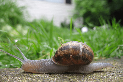 How to Speed up Magento & Optimise Performance